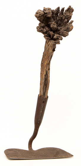 Hoe