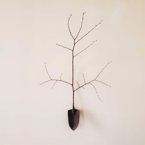 Tree_of_Life_2